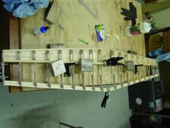 DSC00288.JPG